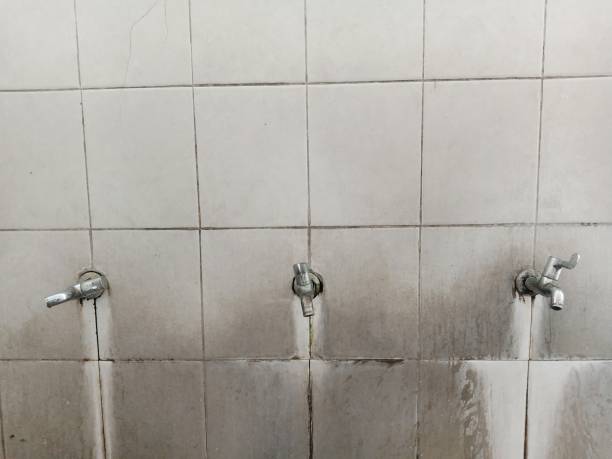 Best Water damage cleanup near me  in Lockport, LA