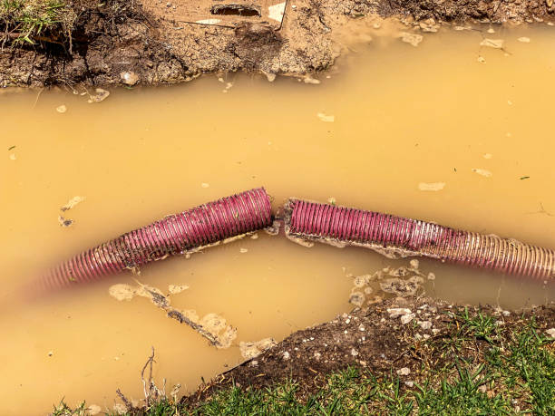 Best Water damage restoration near me  in Lockport, LA